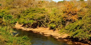 Unveil 8a21a6f614db065bb1ca2c21a5c803aede783f93e5277febbd47f37d9dbae4ca