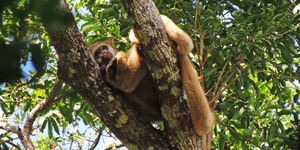 Unveil 8a21a6f614db065bb1ca2c21a5c803aede783f93e5277febbd47f37d9dbae4ca