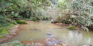 Unveil 8a21a6f614db065bb1ca2c21a5c803aede783f93e5277febbd47f37d9dbae4ca