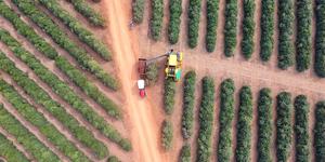 Unveil 8a21a6f614db065bb1ca2c21a5c803aede783f93e5277febbd47f37d9dbae4ca