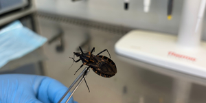 Unveil 8a21a6f614db065bb1ca2c21a5c803aede783f93e5277febbd47f37d9dbae4ca