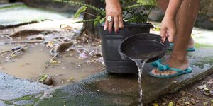 Unveil 8a21a6f614db065bb1ca2c21a5c803aede783f93e5277febbd47f37d9dbae4ca