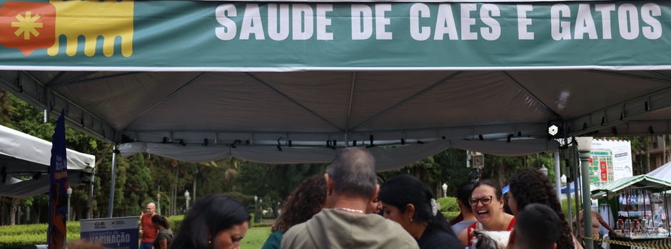 imagem de destaque