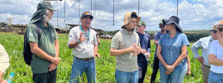 BDMG abre inscrições para capacitação gratuita em agricultura regenerativa com foco em cultivo de grãos
