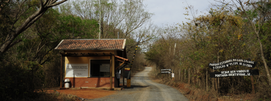 imagem de destaque