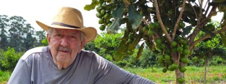 Produtor do Sul de Minas investe em macadâmia, com apoio da Emater-MG